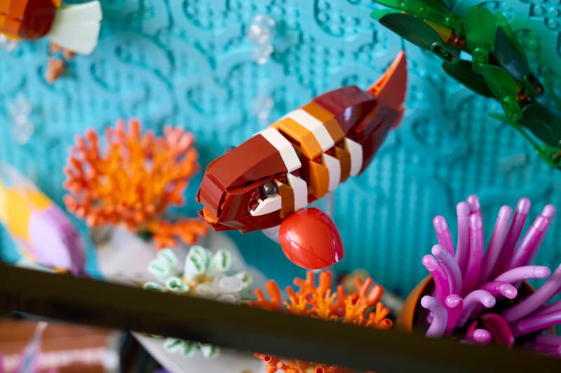 tropical aquarium 10366 icons